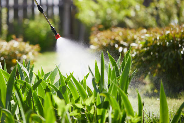 Tamper-Resistant Bait Stations for Rodents in Landis