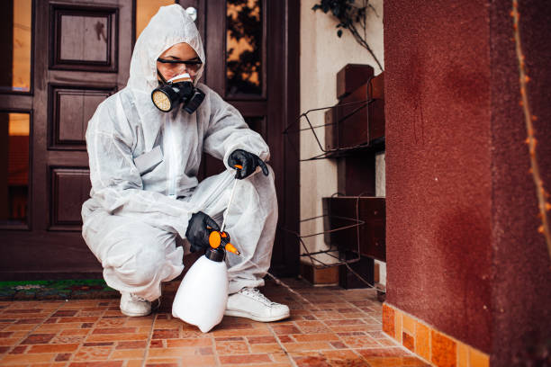 Attic and Crawl Space Rodent Treatment in Landis