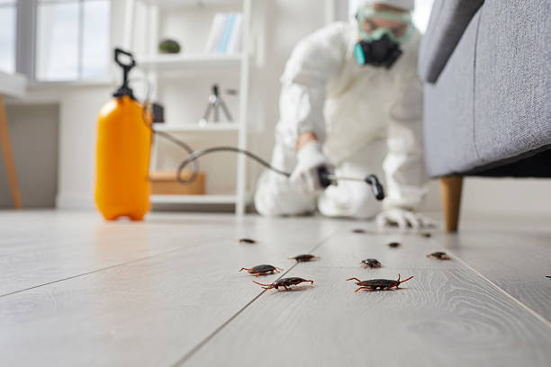 Commercial Rodent Management in Landis